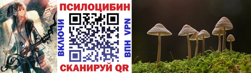Галлюциногенные грибы ЛСД  закладки  KRAKEN ССЫЛКА  Завитинск 