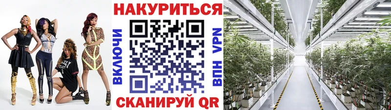 blacksprut ССЫЛКА  Завитинск  Канабис OG Kush 